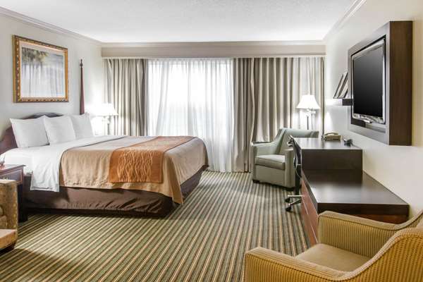 Suite - Comfort Inn Plainwell