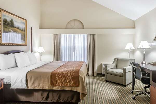 Suite - Comfort Inn Plainwell