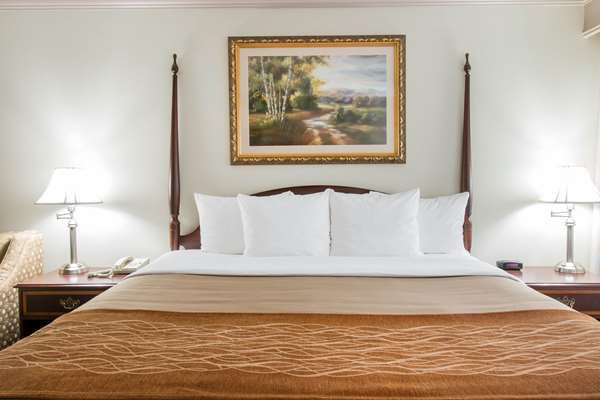  - Comfort Inn Plainwell