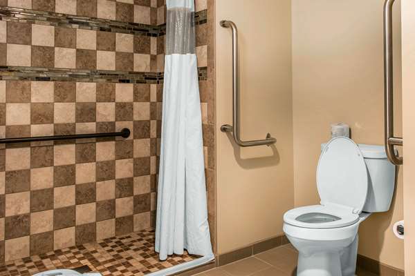  - Quality Inn & Suites Houghton