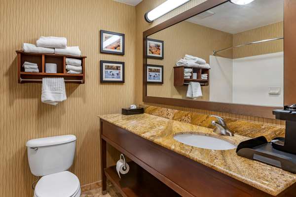 Suite - Comfort Inn Airport Kalamazoo - I-94, Exit 78