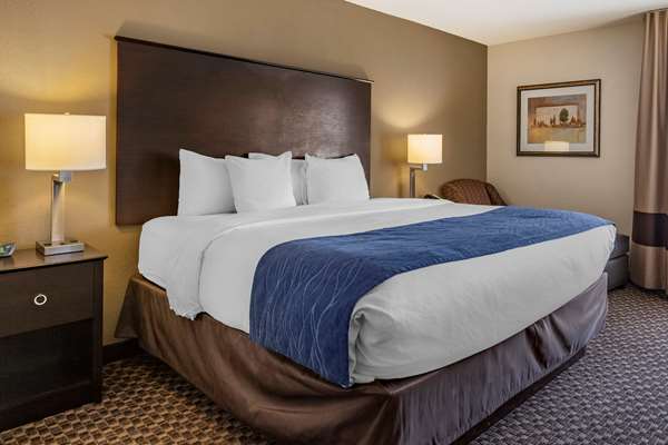  - Comfort Inn Airport Kalamazoo - I-94, Exit 78