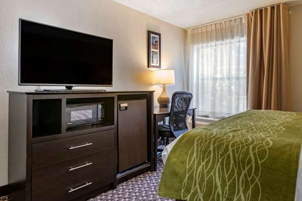 Suite - Comfort Inn Airport Kalamazoo - I-94, Exit 78