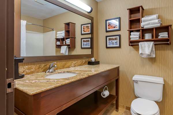  - Comfort Inn Airport Kalamazoo - I-94, Exit 78