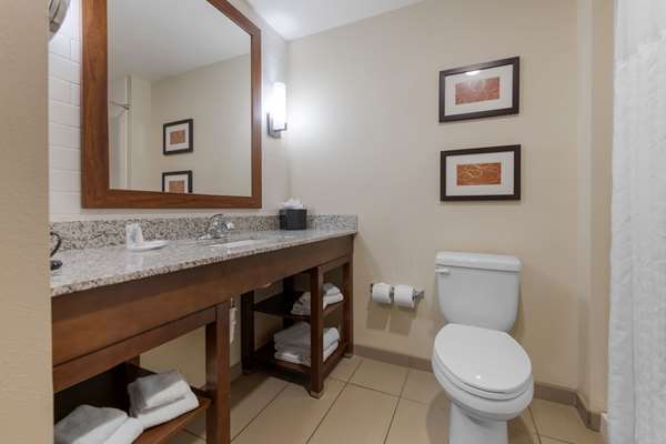 Suite - Comfort Suites & Conference Center Worthington - I-90, Exit 43