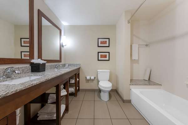 Suite - Comfort Suites & Conference Center Worthington - I-90, Exit 43