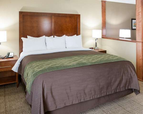 Suite - Comfort Inn & Suites Rochester