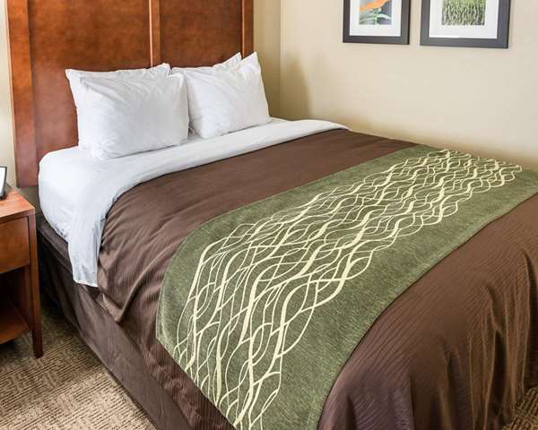  - Comfort Inn & Suites Rochester