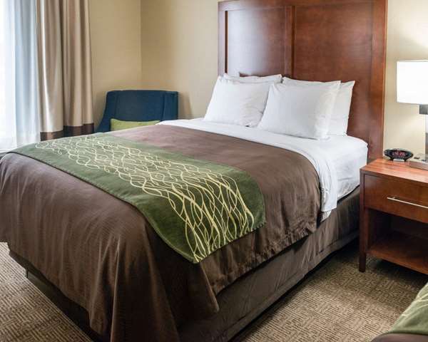  - Comfort Inn & Suites Rochester