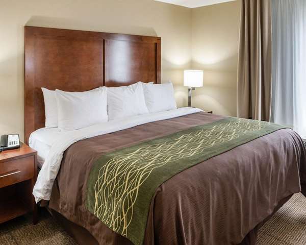 Suite - Comfort Inn & Suites Rochester