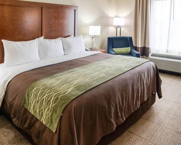 - Comfort Inn & Suites Rochester