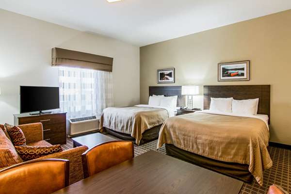 Suite - Sleep Inn Rochester