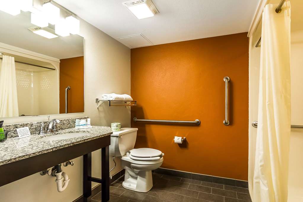 SLEEP INN SPRINGFIELD SOUTH I60 NEA-guestroom-Guest Room,Bathroom,On-Site.jpg