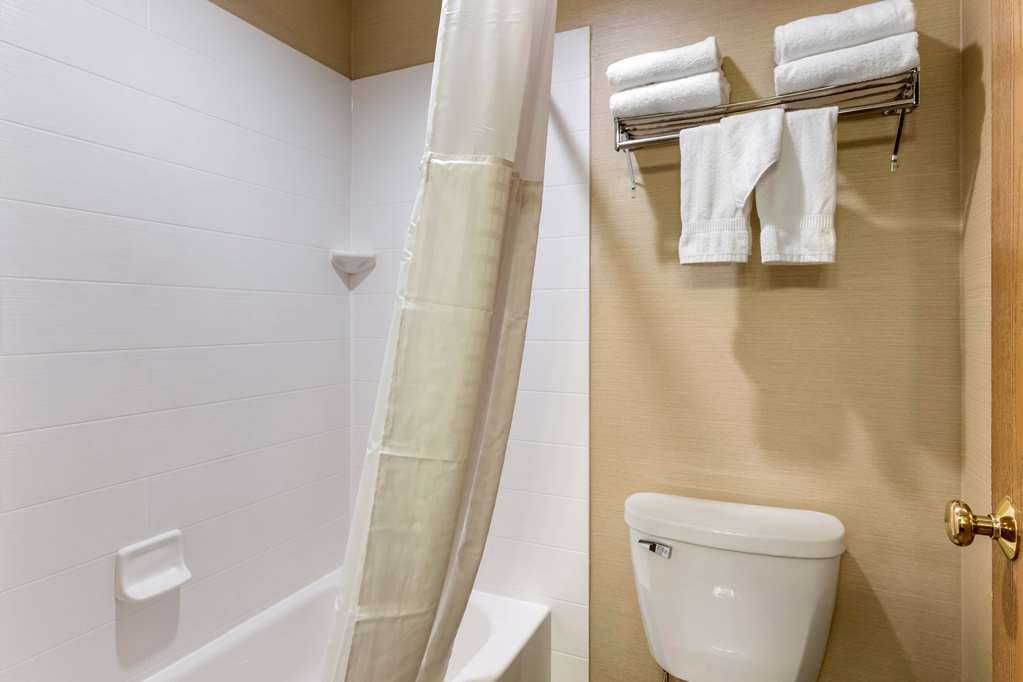 COMFORT INN SEDALIA STATION-guestroom-Guest Room,Bathroom,On-Site.jpg