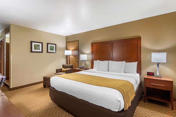  - Comfort Inn & Suites North Springfield - I-44, Exit 80