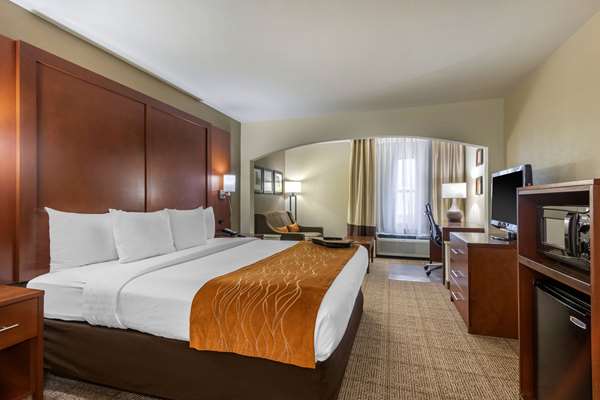 Suite - Comfort Inn & Suites North Springfield - I-44, Exit 80