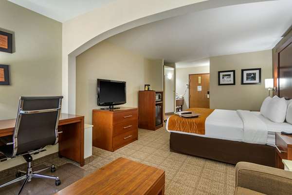 Suite - Comfort Inn & Suites North Springfield - I-44, Exit 80