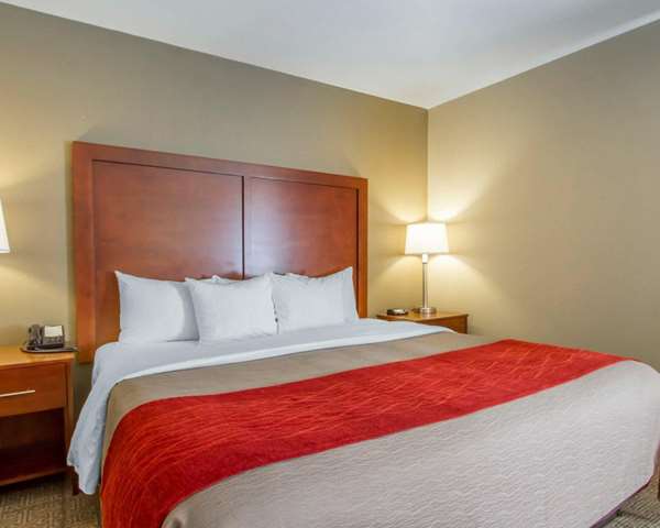 Suite - Comfort Inn Bolivar