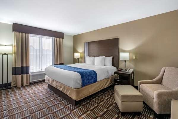 Suite - Comfort Inn Sullivan