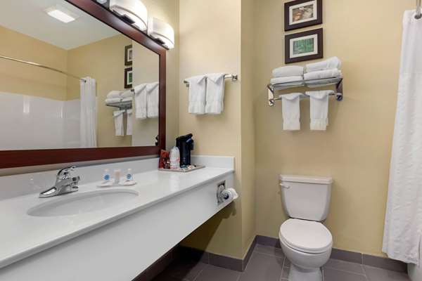 Suite - Comfort Inn Willow Springs