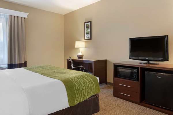 Suite - Comfort Inn Willow Springs
