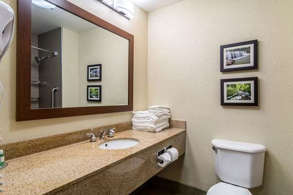 Suite - Comfort Inn & Suites Hannibal