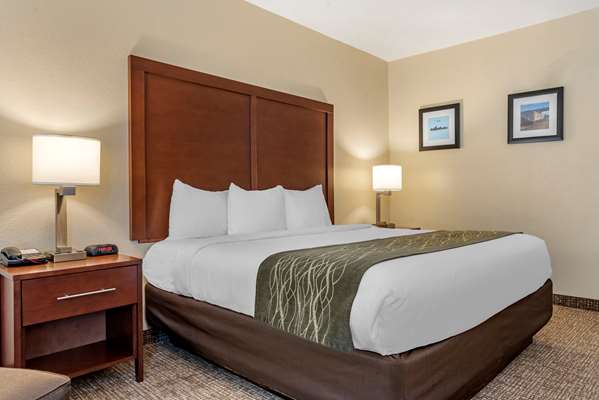  - Comfort Inn Meridian - I-20 & I-59, Exit 154