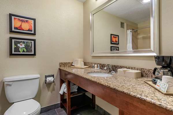  - Comfort Inn Meridian - I-20 & I-59, Exit 154