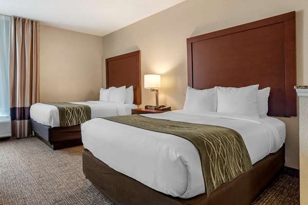 Suite - Comfort Inn Meridian - I-20 & I-59, Exit 154
