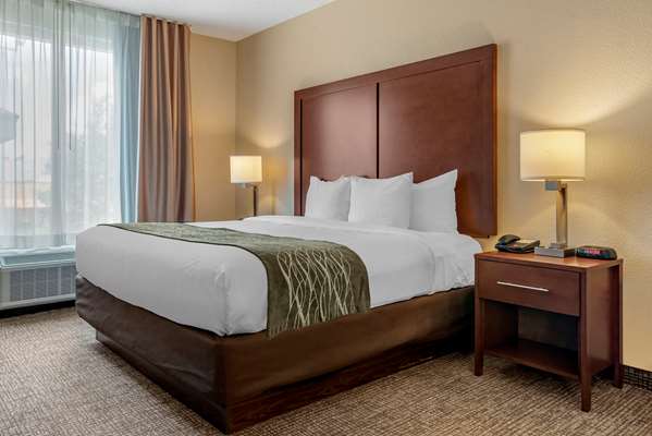 Suite - Comfort Inn Meridian - I-20 & I-59, Exit 154