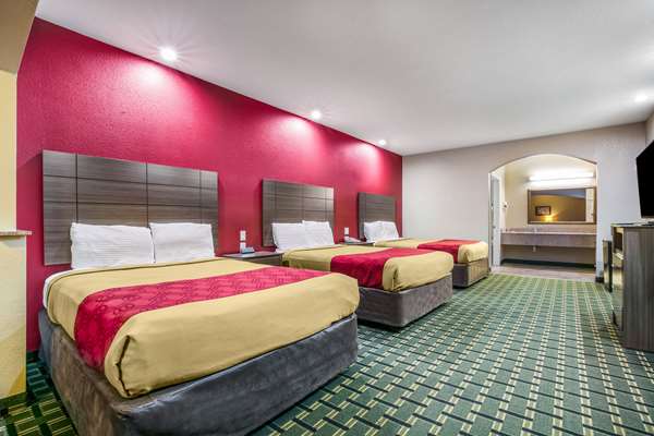 Suite - Econo Lodge Inn & Suites Horn Lake - I-55 & I-69, Exit 289