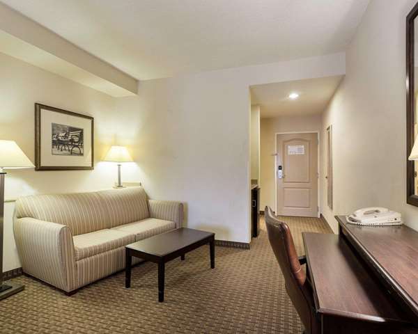 Suite - Comfort Suites Olive Branch