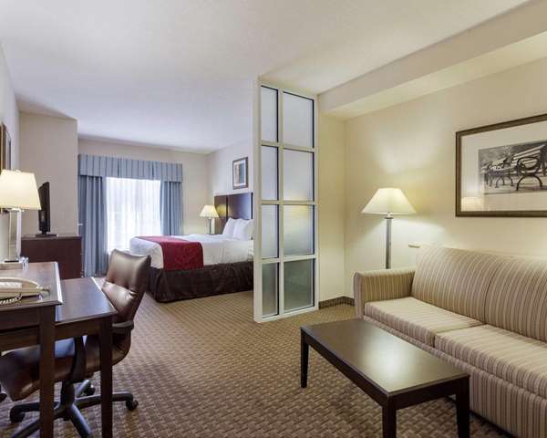 Suite - Comfort Suites Olive Branch