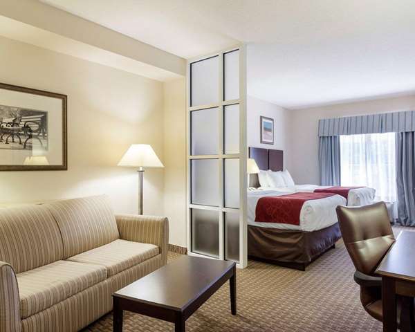 Suite - Comfort Suites Olive Branch