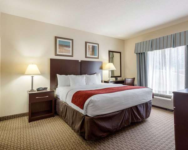 Suite - Comfort Suites Olive Branch