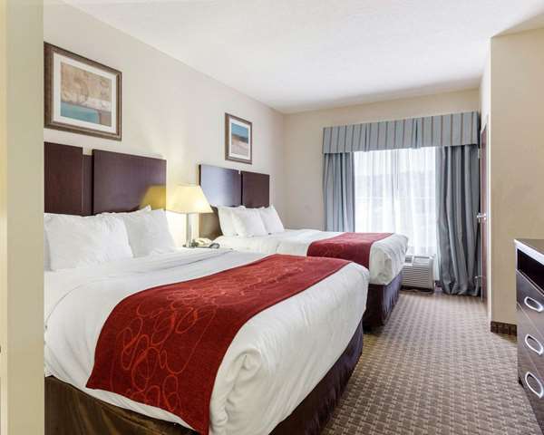 Suite - Comfort Suites Olive Branch