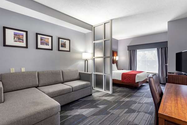 Suite - Comfort Suites Olive Branch