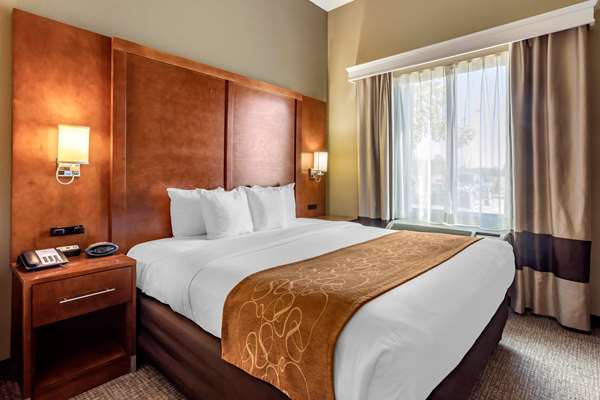 Suite - Comfort Suites Batesville - I-55, Exit 243