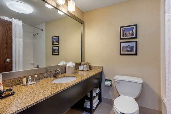  - Comfort Inn Horn Lake - I-55 & I-69, Exit 289