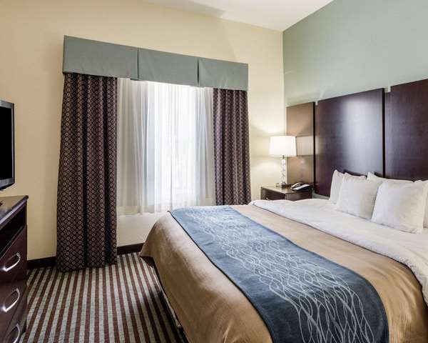 Suite - Comfort Inn & Suites Grenada