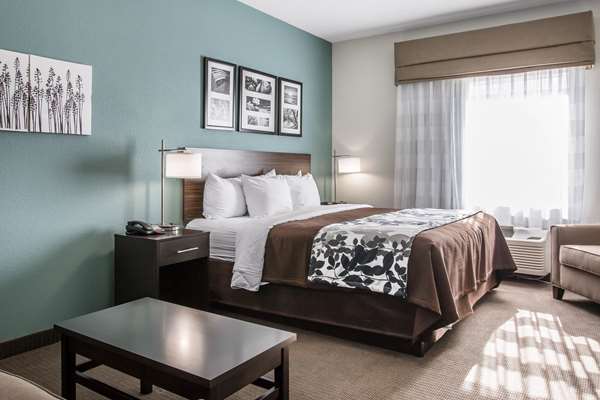 Suite - Sleep Inn Meridian - I-20 & I-59, Exit 154