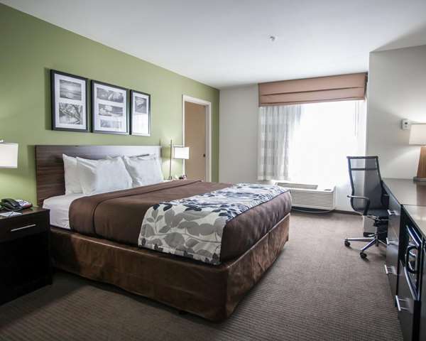 Suite - Sleep Inn & Suites Gulfport - I-10, Exit 34