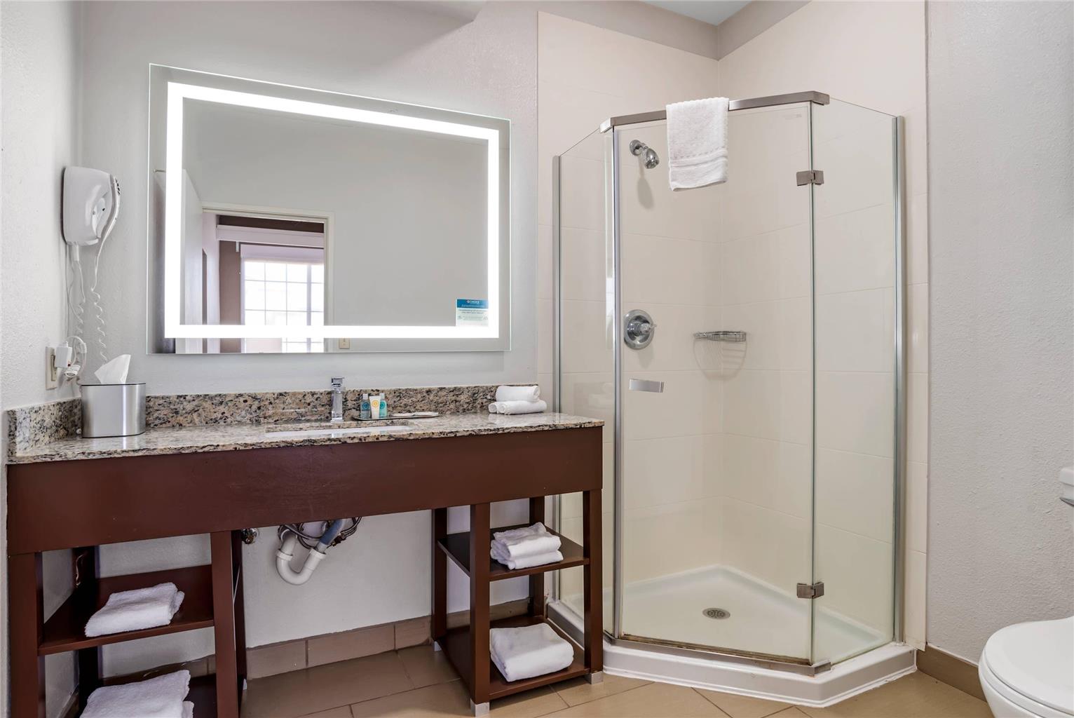 COMFORT SUITES HATTIESBURG NEAR UNI-guestroom-Guest Room,Bathroom,On-Site.jpg