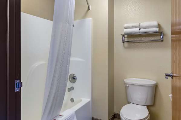  - Comfort Inn Downtown Bozeman - I-90, Exit 306