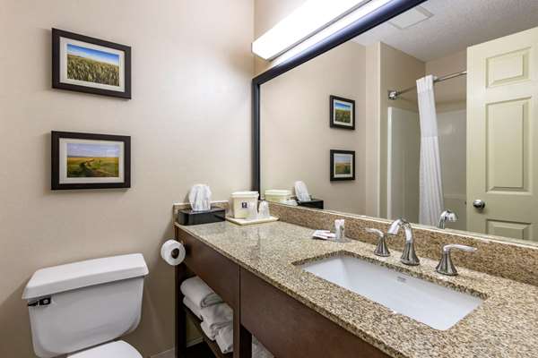  - Comfort Inn Great Falls Downtown
