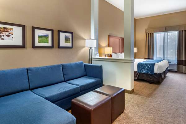 Suite - Comfort Suites Bozeman - I-90, Exit 305