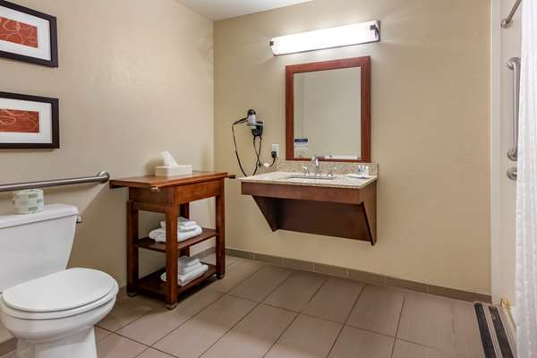 Suite - Comfort Suites Bozeman - I-90, Exit 305