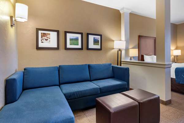 Suite - Comfort Suites Bozeman - I-90, Exit 305