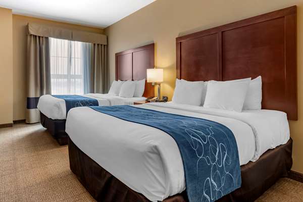 Suite - Comfort Suites Bozeman - I-90, Exit 305