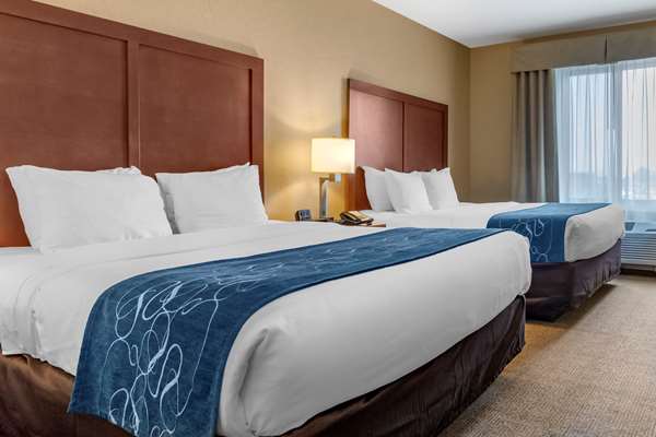 Suite - Comfort Suites Bozeman - I-90, Exit 305